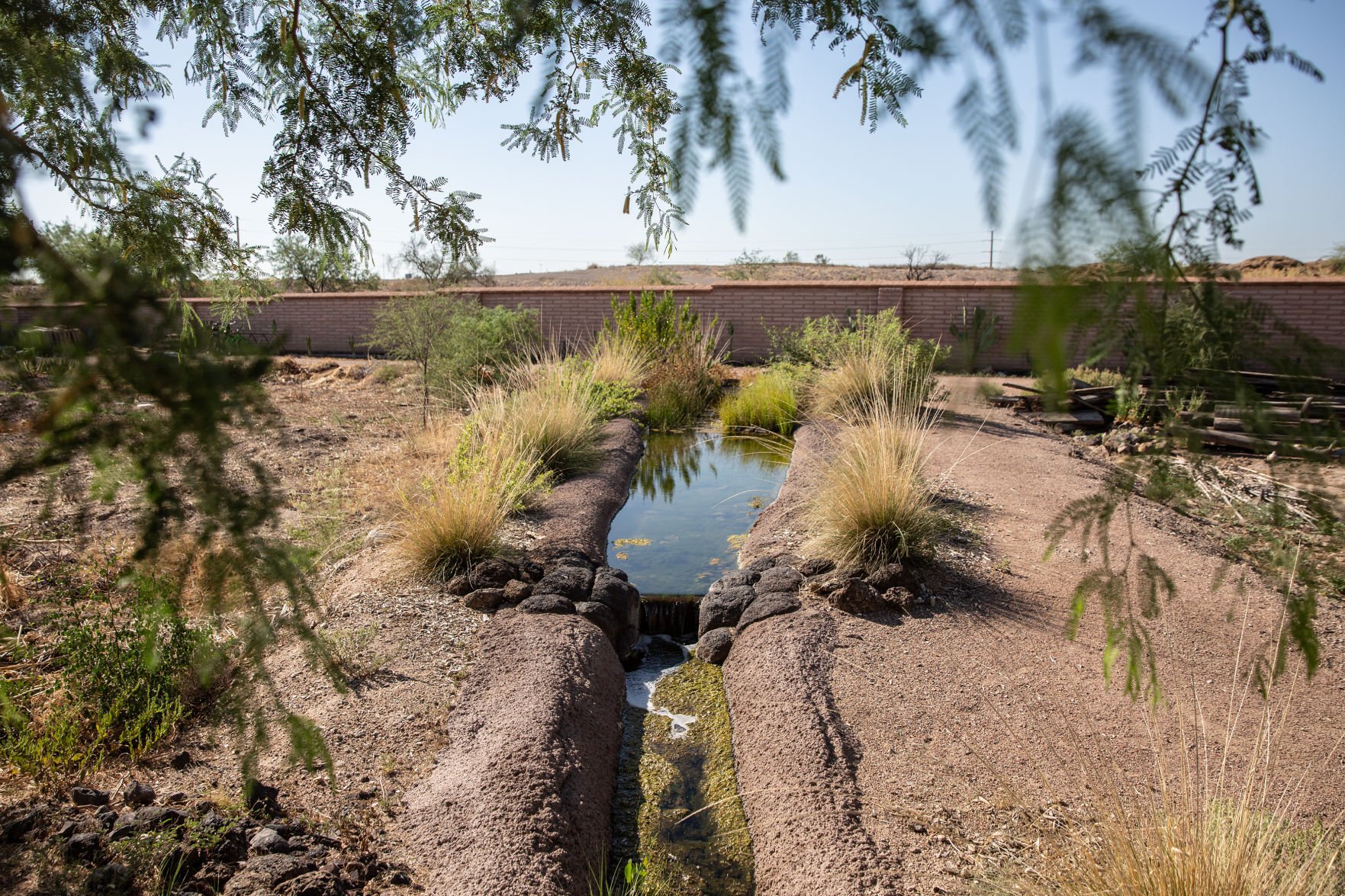 Mission Garden